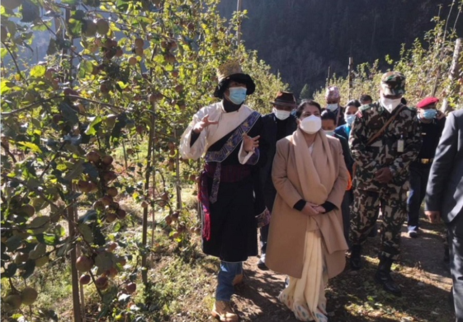 जलवायु परिवर्तन न्यूनीकरणमा मानव जाति सचेत हुनुपर्छ -राष्ट्रपति