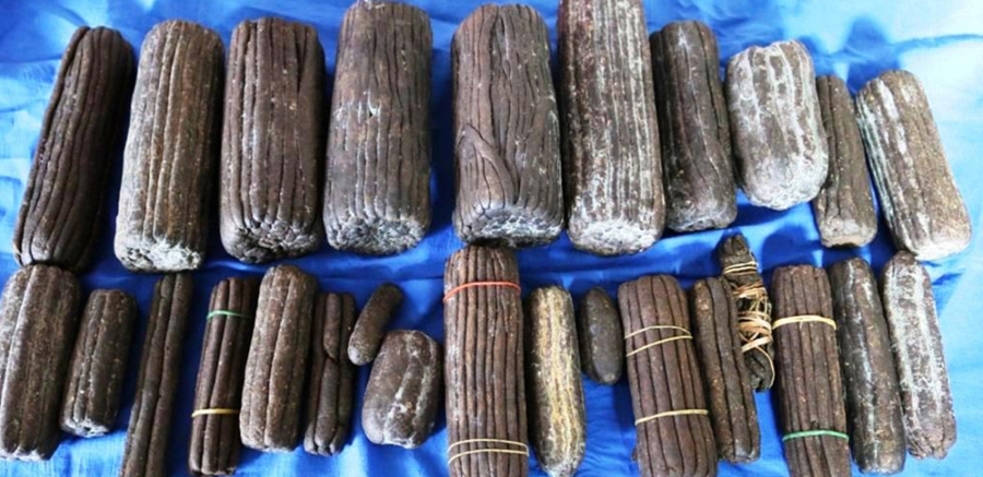 एक सय ८४ किलो चरेससहित तीनजना पक्राउ