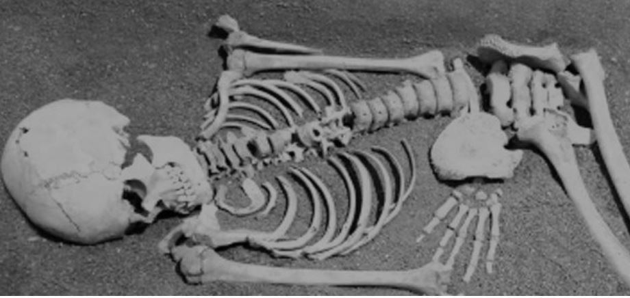 भक्तपुरको सामुदायिक वनमा भेटियो मानव कङ्‍काल