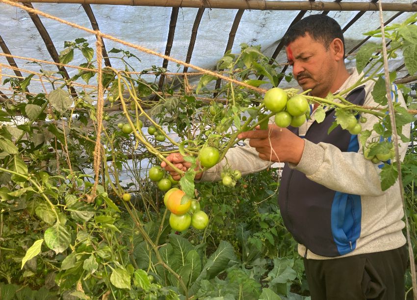 बेलायतबाट फर्केर उद्यममा रमाउँदै गलकोटका भण्डारी