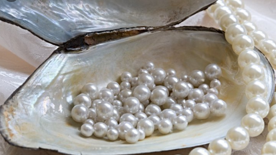 कुवेतको साहसिक मोती खोज्ने मेला शुरु