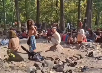 घोडाघोडी वनमा विदेशीको अस्भाविक जमघट