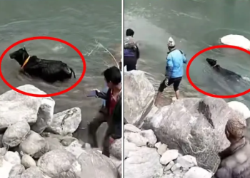 यमनमा अमेरिकाको महाविनाशःअहिलेसम्म ५३ हुथी मारिए