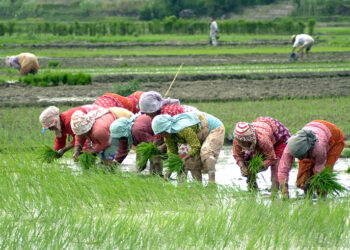 आज असार १५,४ प्रदेशमा भारी वर्षा, बाढी र पहिरोबाट बच्न अपिल