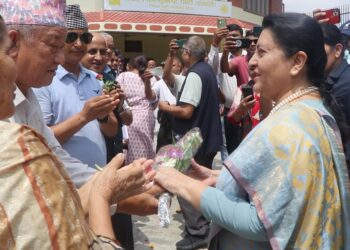 विद्या भण्डारीलाई नभेट्नु भन्ने एमालेको उर्दी कामलागेन