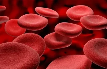 ‘ए’, ‘बी’, ‘ओ’ बिर्सनुहोस्! भारतमा भेटियो विश्वकै दुर्लभ रक्त समूह  