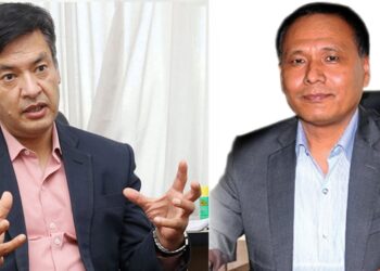 सर्वोच्च पुगे हितेन्द्र, प्राधिकरणबाट नहटाउन अन्तरिम आदेश माग