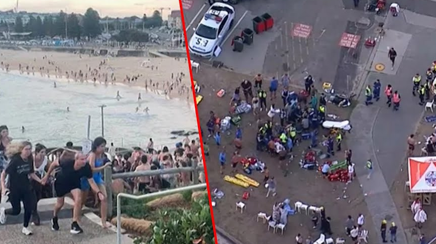 बोन्डाइ बीच गोलीकाण्डका आक्रमणकारी ‘बाबु छोरा’