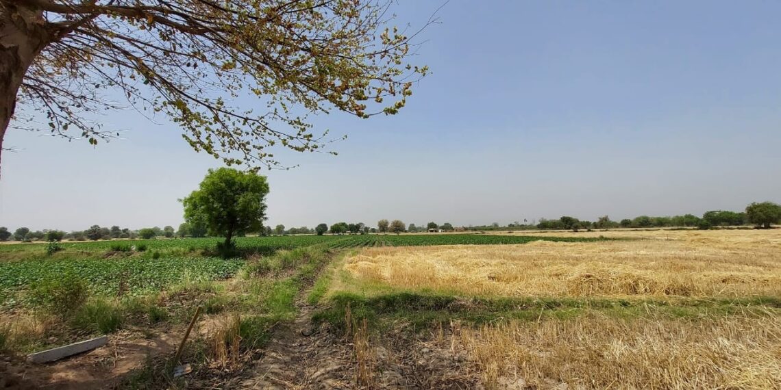 धितो लिलाम भएको घर जग्गा अब बैंकहरुले धमाधम बेच्ने