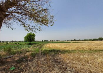 धितो लिलाम भएको घर जग्गा अब बैंकहरुले धमाधम बेच्ने