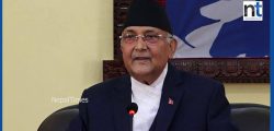 pm oli