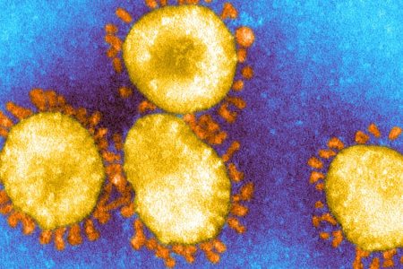 _116217444_c0278759-sars_coronavirus_em