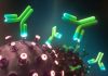 _116263259__116240310_c0505315-monoclonal_antibodies_and_coronavirus_illustration