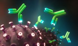 _116263259__116240310_c0505315-monoclonal_antibodies_and_coronavirus_illustration