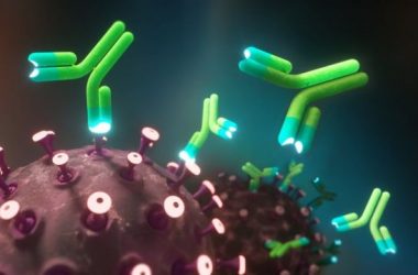 _116263259__116240310_c0505315-monoclonal_antibodies_and_coronavirus_illustration
