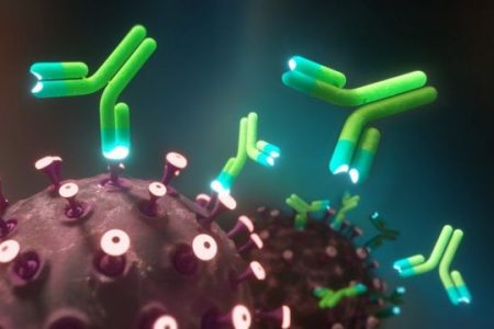 _116263259__116240310_c0505315-monoclonal_antibodies_and_coronavirus_illustration