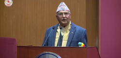 kp oli