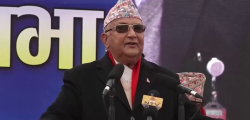 kp oli