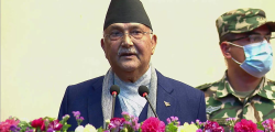 kp oli