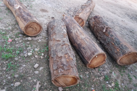 1567066026wood
