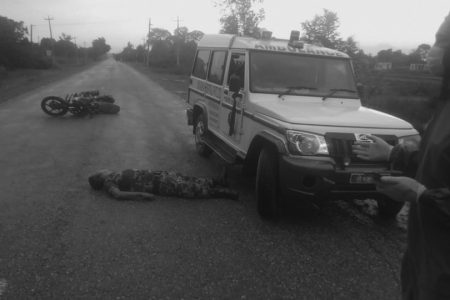 1588670788accident