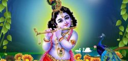 1597105498krishnastami