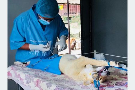 1608356927202012191117-a1068f9f-1ac5-412