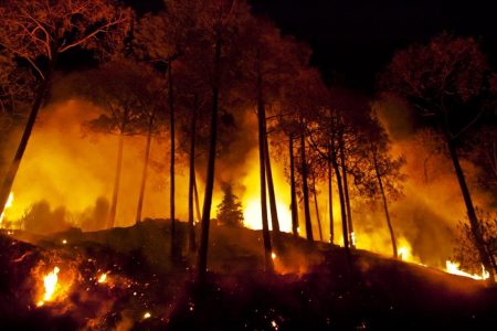 1610362430_fire