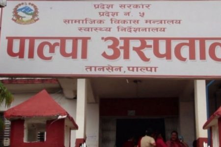 1641346370_palpa