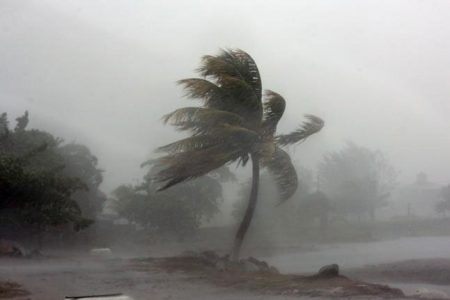 1656898663-windy-rain