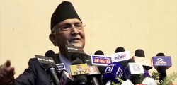 kp oli