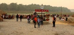 sauraha