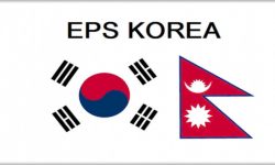 1eps