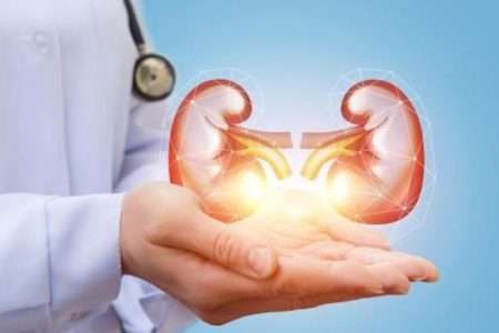 346156197Kidney-ph
