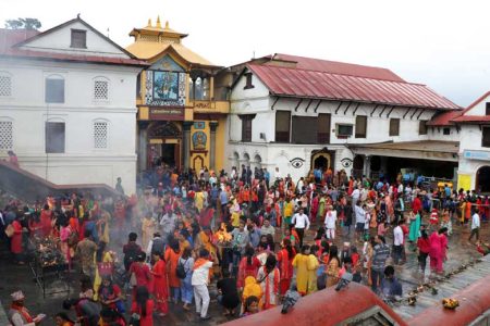 36632990Pashupati