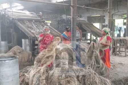 41662446_735082546838330_7190075175365246976_n