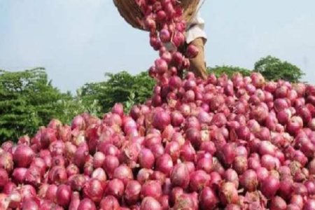 561896-onion