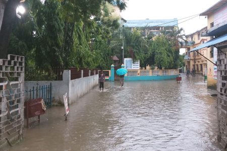 koshi zonal pani