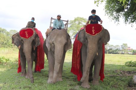 7533405801716444208Chitwan--sauraha.