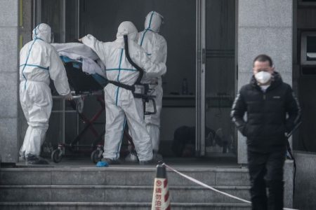 korona virus