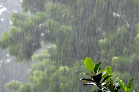 rain