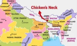 7lqa9amg_chicken-neck_625x300_01_April_25