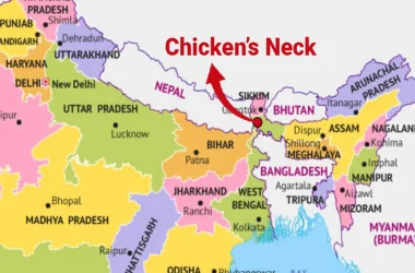 7lqa9amg_chicken-neck_625x300_01_April_25