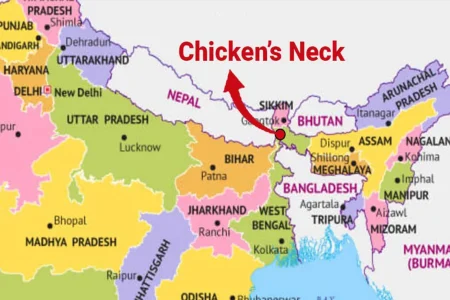 7lqa9amg_chicken-neck_625x300_01_April_25