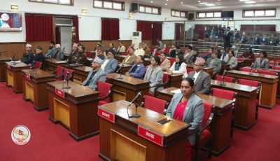 9e6006d1-580a-415c-801d-9a03b5128bb8