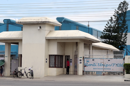 Aarati-Strips-Morang