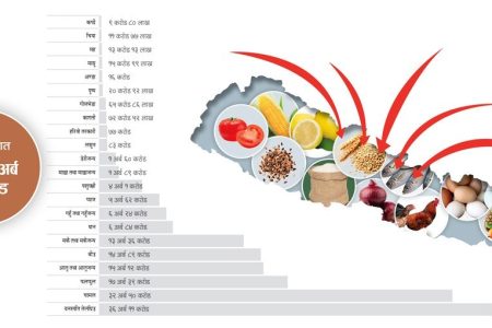Agro-Import-ayat_20190819001702