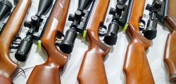 Airrifle_Collection