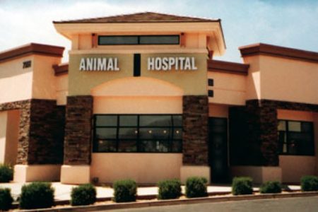 Animal-hospital
