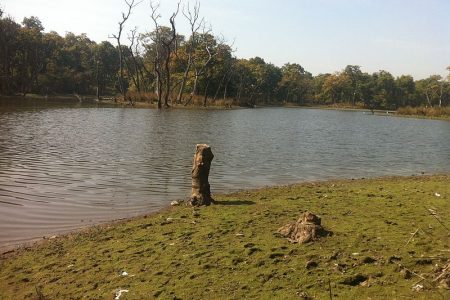 Bishajari_tal_Wetland_Nepal-by-kandelvijaya